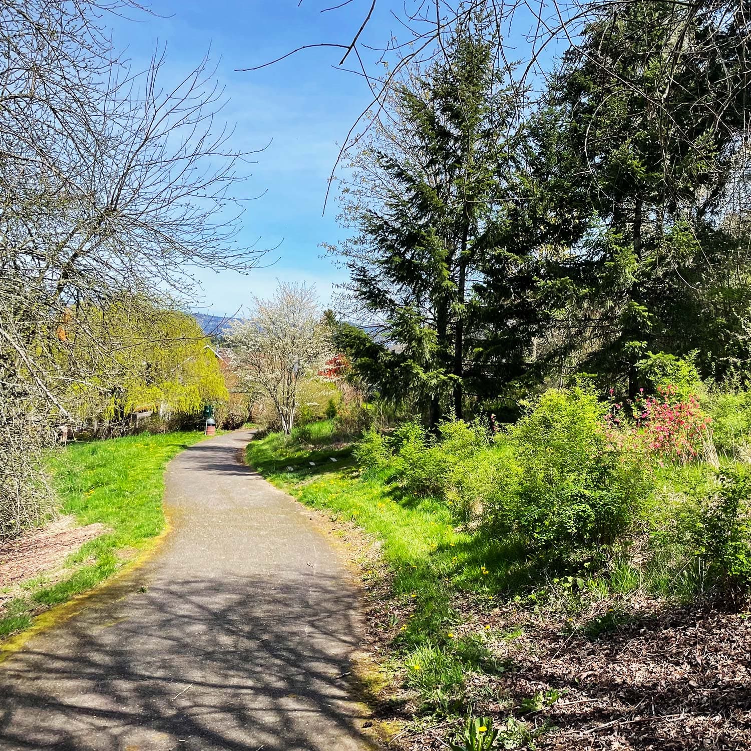 Walking path in Winchester Hills